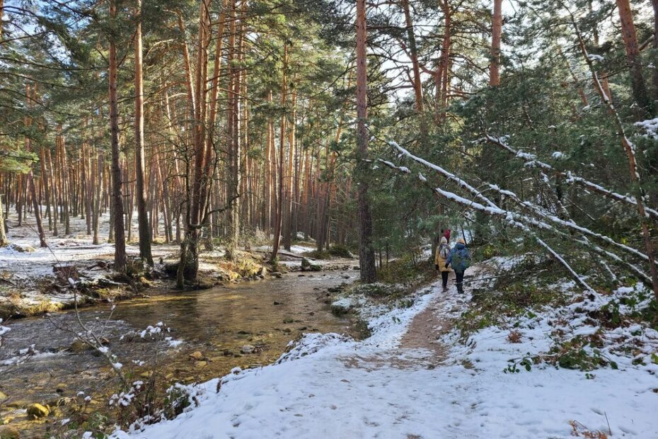 Rutas por madrid con guias