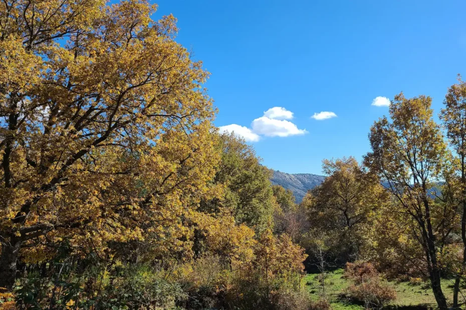 Senderismo en el Valle Hermoso