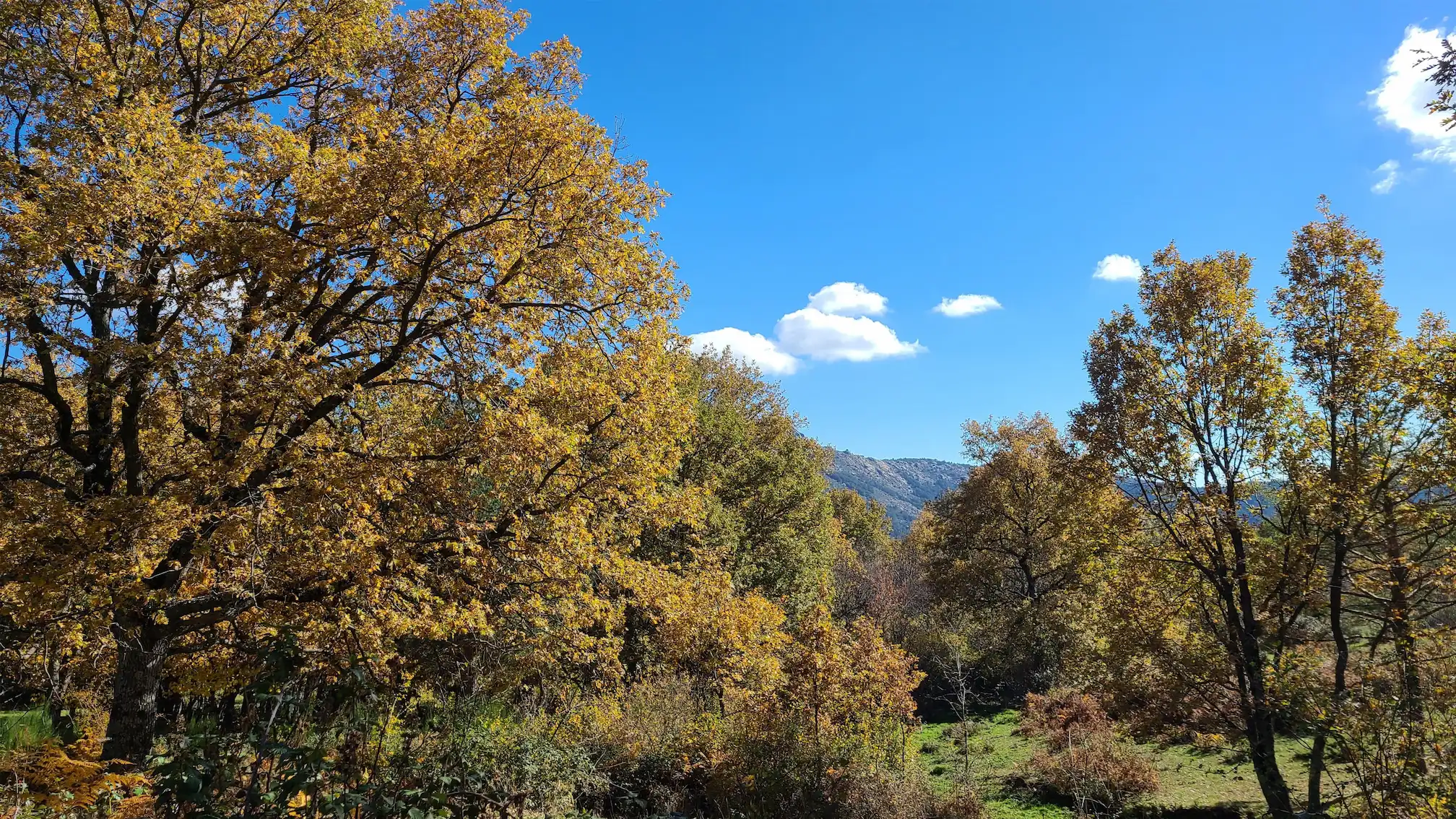 Senderismo en el Valle Hermoso