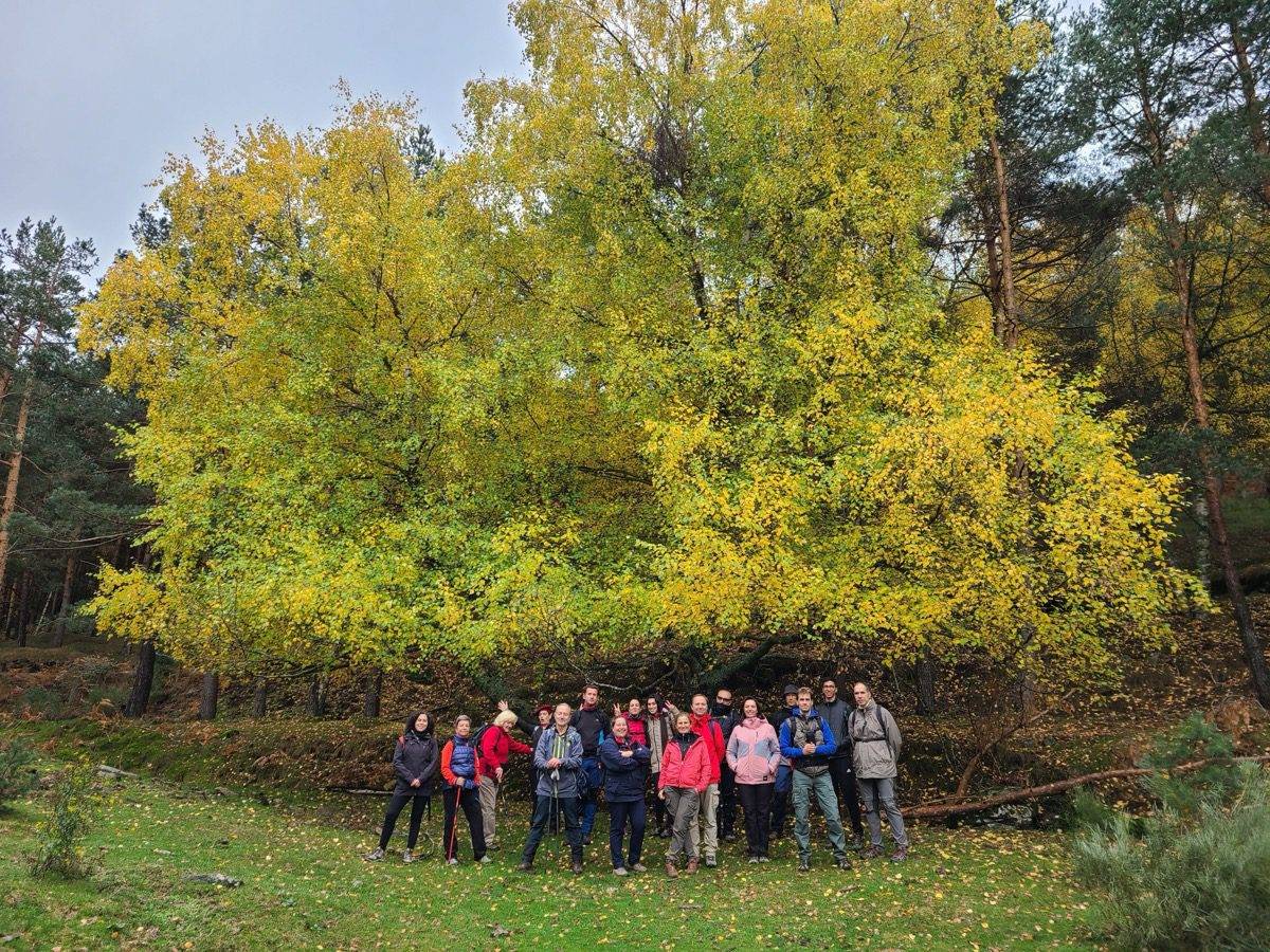 Senderismo Sierra de Madrid