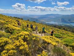 Senderismo Sierra de Madrid Pico Nevero con piornos
