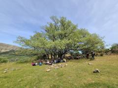 Rutas madrid por la montaña