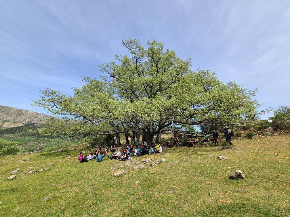 Rutas madrid por la montaña