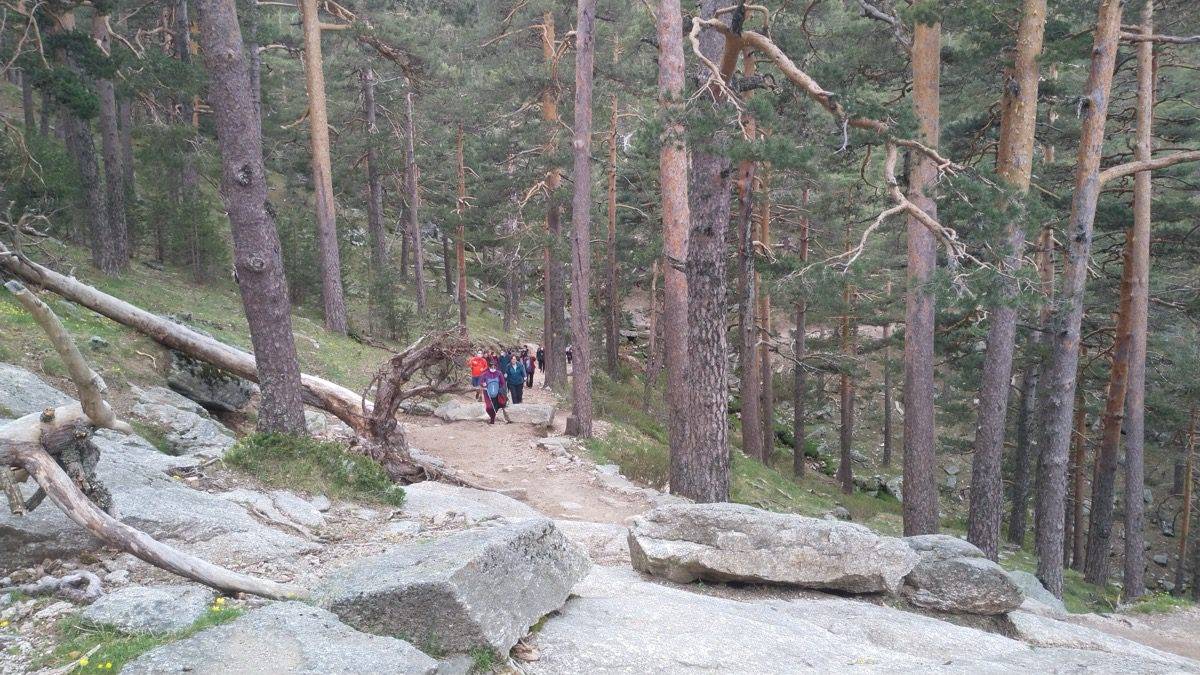 Senderismo Sierra de Madrid