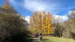 Senderismo Hoces del Lozoya