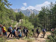 Senderismo Sierra de Madrid Pedriza